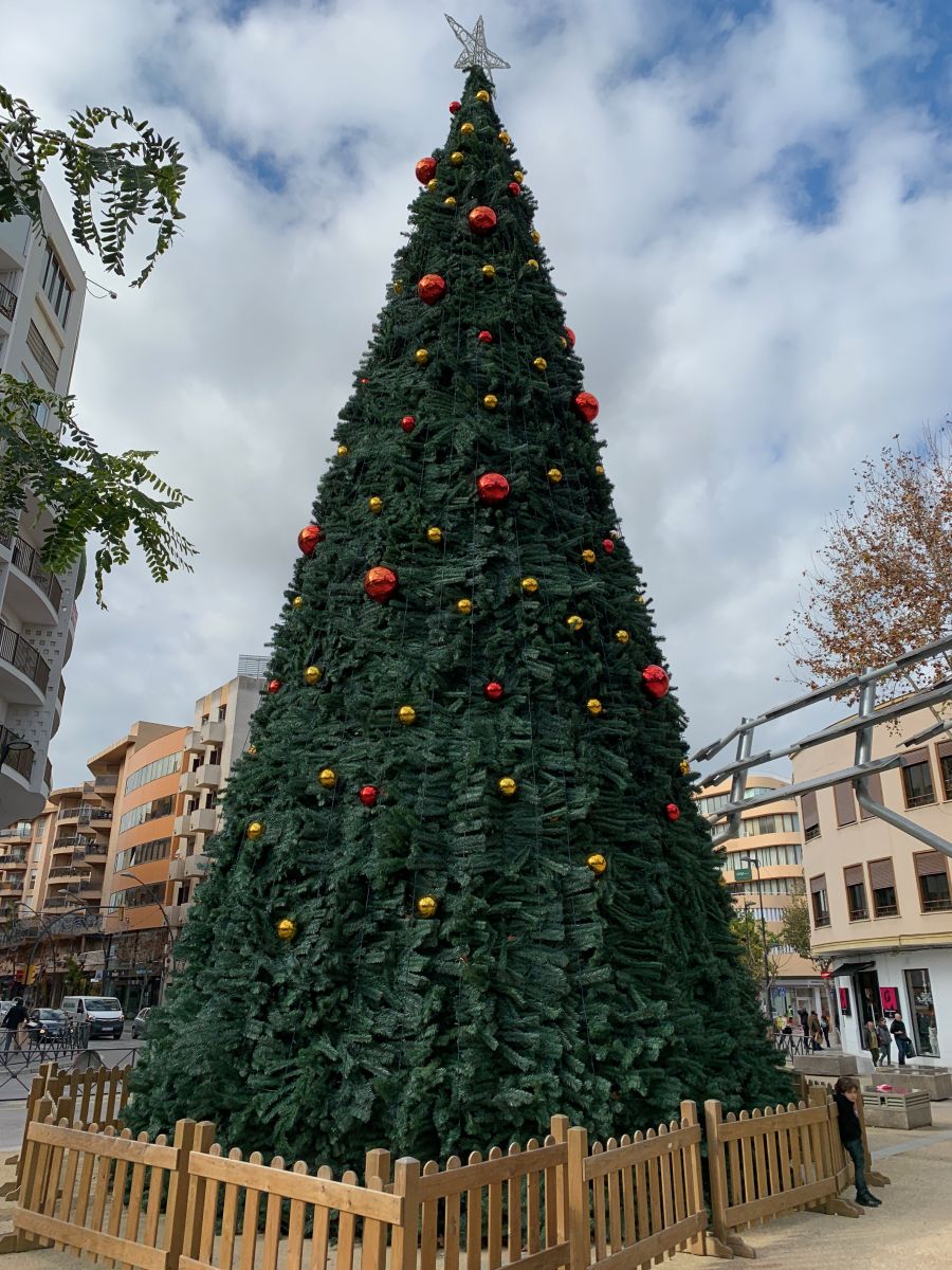 Christbaum auf der Vara de Rey.