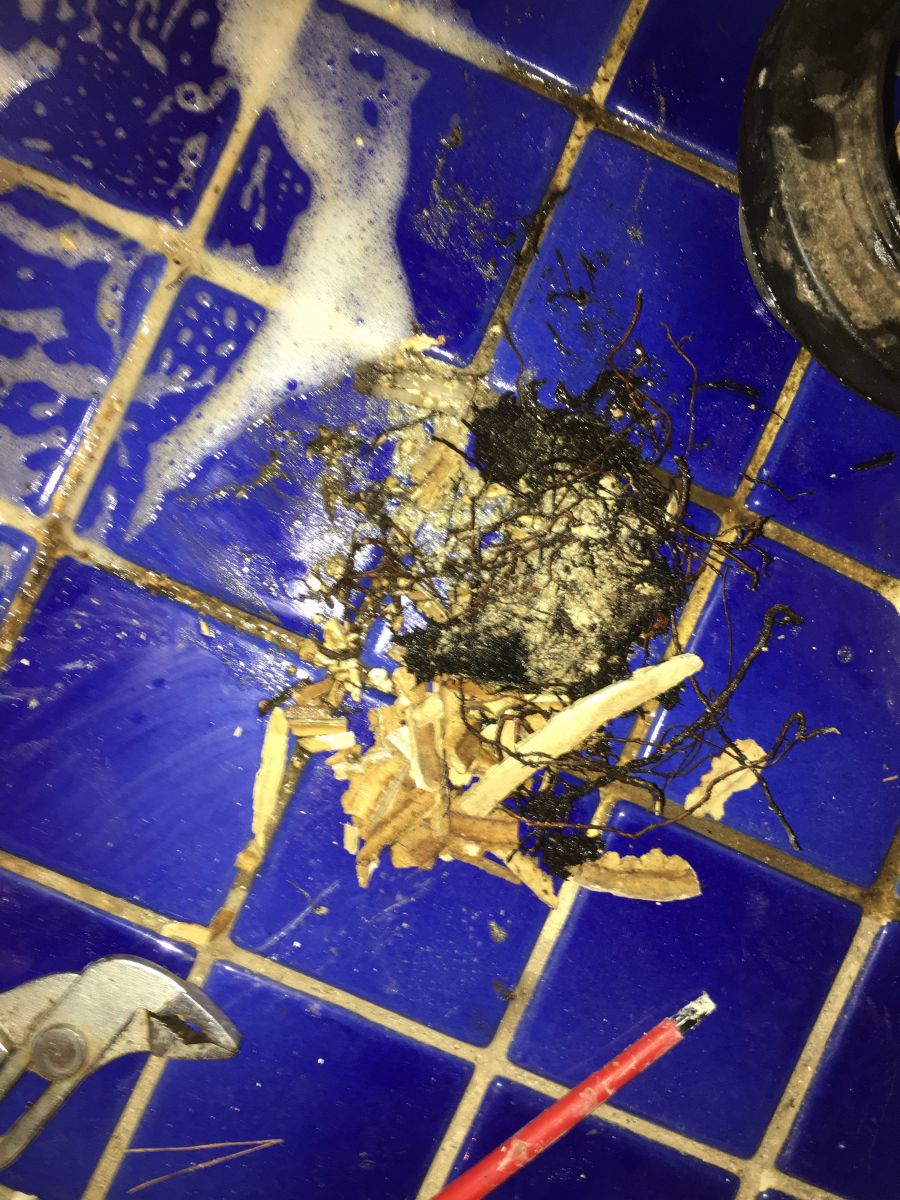 Wo ist das Problem? Drinnen oder draußen? Fangen wir im Bad mit dem Ausbau der Toilette an...